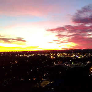 Meet your Posher, Parker